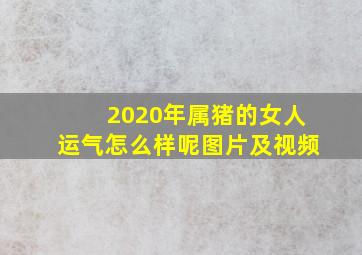 2020年属猪的女人运气怎么样呢图片及视频