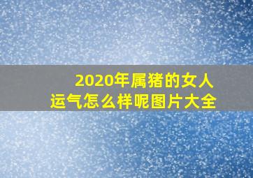 2020年属猪的女人运气怎么样呢图片大全