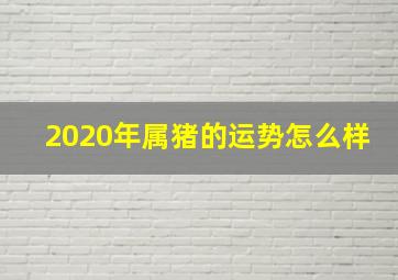 2020年属猪的运势怎么样