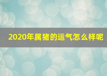 2020年属猪的运气怎么样呢