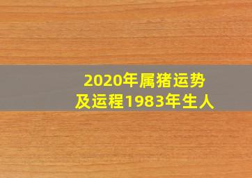 2020年属猪运势及运程1983年生人