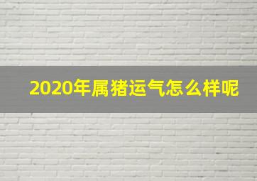 2020年属猪运气怎么样呢