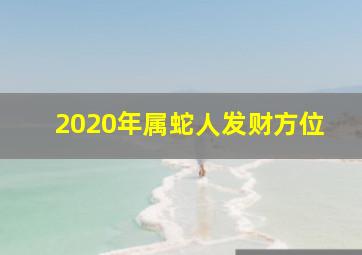 2020年属蛇人发财方位