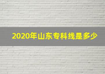 2020年山东专科线是多少