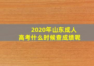 2020年山东成人高考什么时候查成绩呢