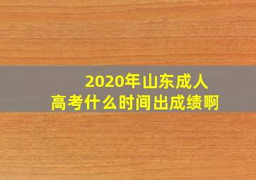 2020年山东成人高考什么时间出成绩啊