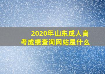 2020年山东成人高考成绩查询网站是什么