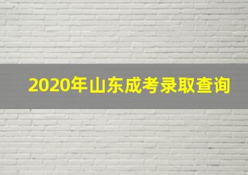 2020年山东成考录取查询