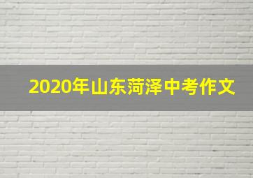 2020年山东菏泽中考作文