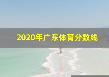 2020年广东体育分数线