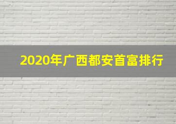 2020年广西都安首富排行