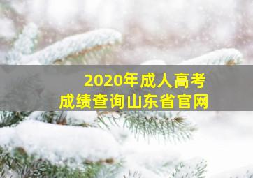 2020年成人高考成绩查询山东省官网