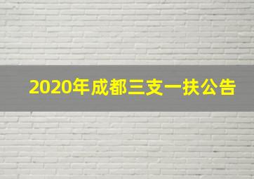 2020年成都三支一扶公告