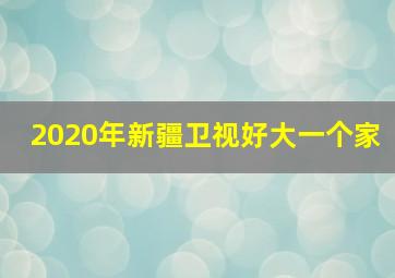 2020年新疆卫视好大一个家