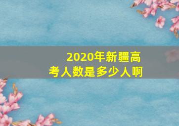 2020年新疆高考人数是多少人啊