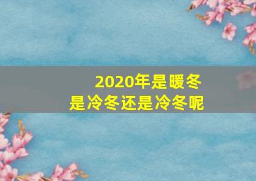 2020年是暖冬是冷冬还是冷冬呢