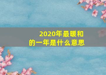 2020年最暖和的一年是什么意思