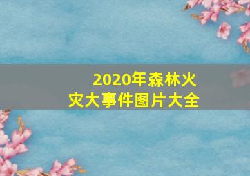 2020年森林火灾大事件图片大全