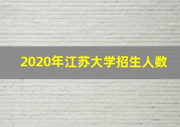 2020年江苏大学招生人数