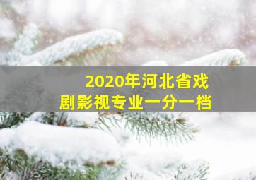 2020年河北省戏剧影视专业一分一档