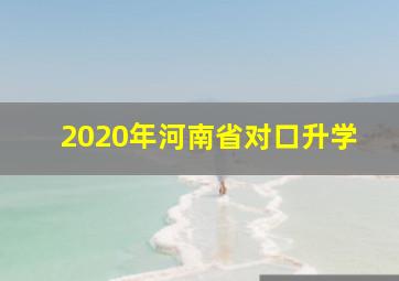 2020年河南省对口升学