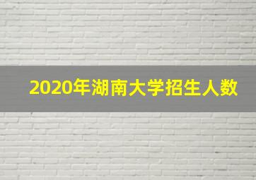 2020年湖南大学招生人数