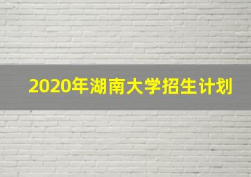 2020年湖南大学招生计划