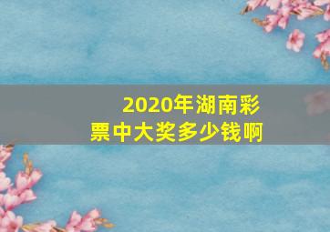 2020年湖南彩票中大奖多少钱啊