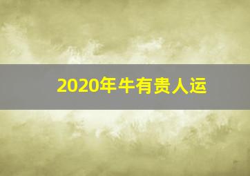 2020年牛有贵人运