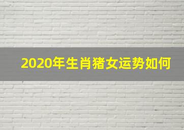 2020年生肖猪女运势如何