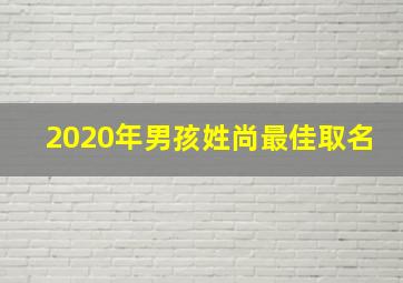 2020年男孩姓尚最佳取名