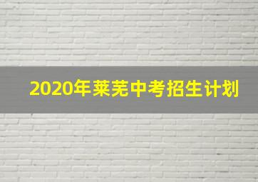 2020年莱芜中考招生计划