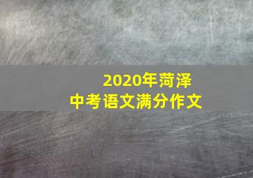 2020年菏泽中考语文满分作文