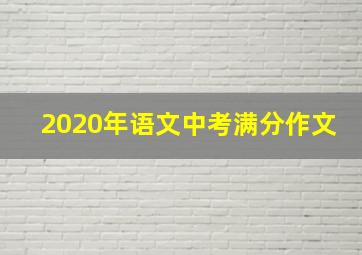 2020年语文中考满分作文