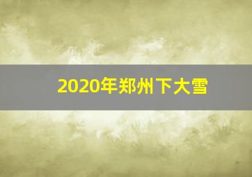 2020年郑州下大雪