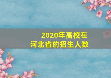 2020年高校在河北省的招生人数