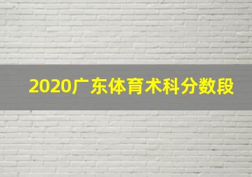 2020广东体育术科分数段