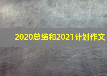 2020总结和2021计划作文