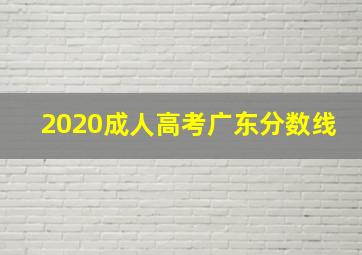 2020成人高考广东分数线