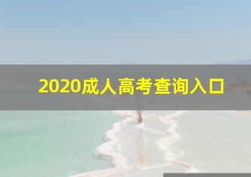 2020成人高考查询入口