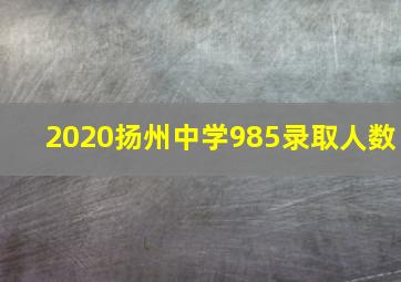 2020扬州中学985录取人数