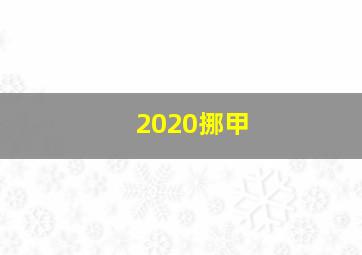 2020挪甲