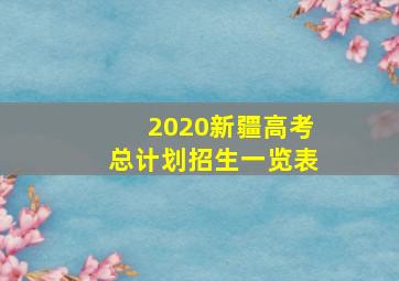 2020新疆高考总计划招生一览表