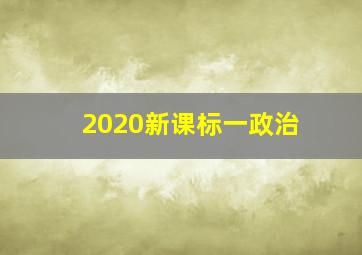 2020新课标一政治