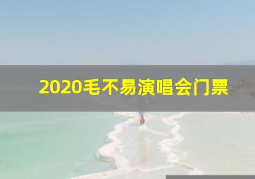 2020毛不易演唱会门票