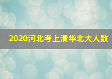 2020河北考上清华北大人数