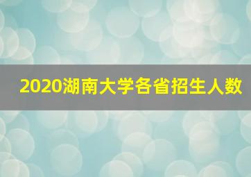 2020湖南大学各省招生人数