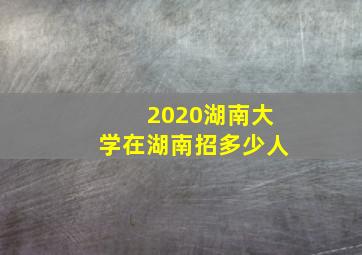 2020湖南大学在湖南招多少人