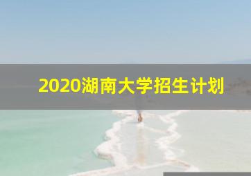 2020湖南大学招生计划