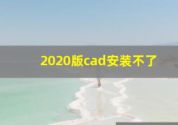 2020版cad安装不了